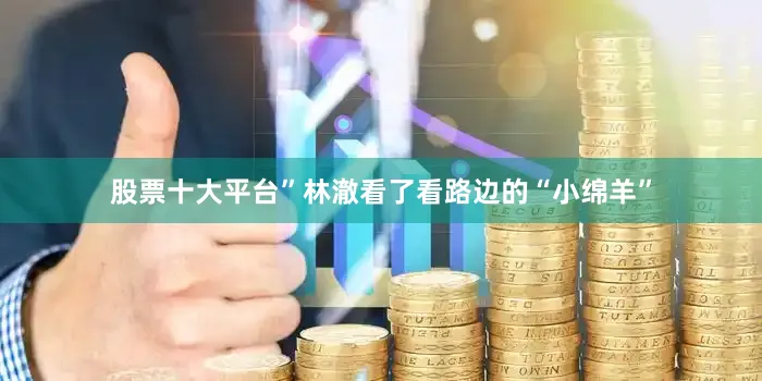 股票十大平台”林澈看了看路边的“小绵羊”