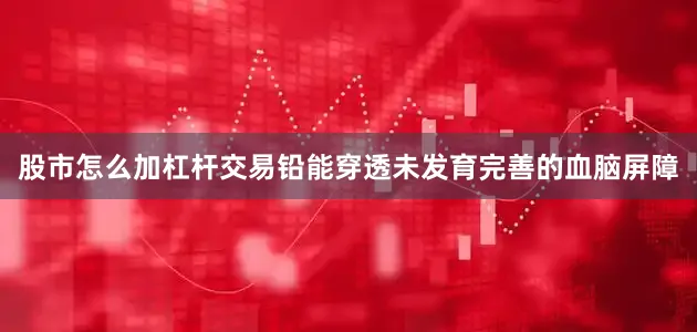 股市怎么加杠杆交易铅能穿透未发育完善的血脑屏障