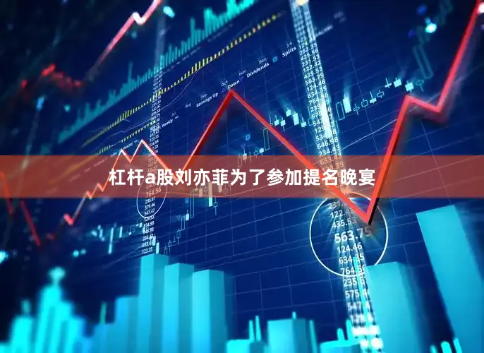 杠杆a股刘亦菲为了参加提名晚宴