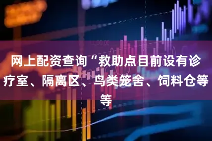 网上配资查询“救助点目前设有诊疗室、隔离区、鸟类笼舍、饲料仓等