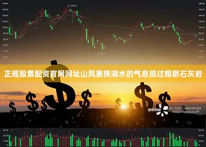 正规股票配资官网网址山风裹挟湖水的气息掠过粗粝石灰岩