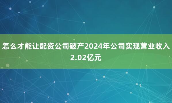 怎么才能让配资公司破产2024年公司实现营业收入2.02亿元